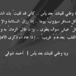 ابيات شعر عن الوطن 2025