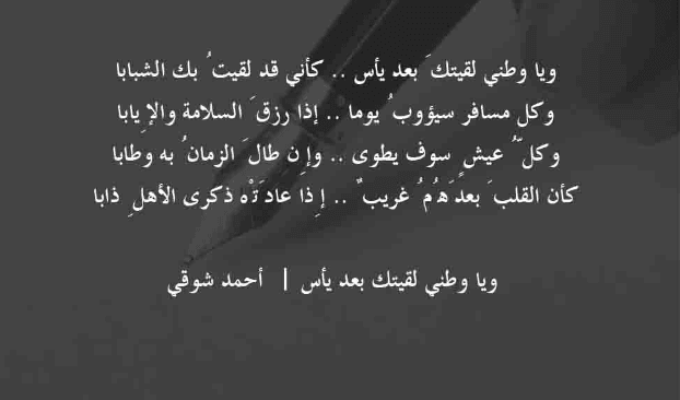 ابيات شعر عن الوطن 2025