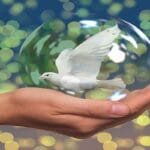 عبارات عن حب الوطن 2025