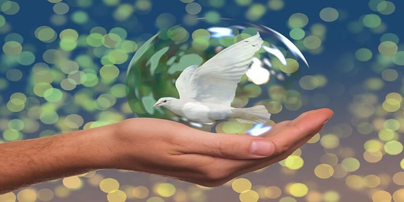 عبارات عن حب الوطن 2025