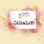 رابط نتائج صفوف النقل 2025 بالقاهرة برقم الجلوس عبر بوابة التعليم الأساسي