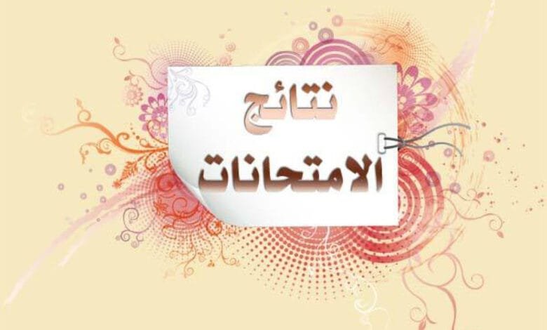رابط نتائج صفوف النقل 2025 بالقاهرة برقم الجلوس عبر بوابة التعليم الأساسي