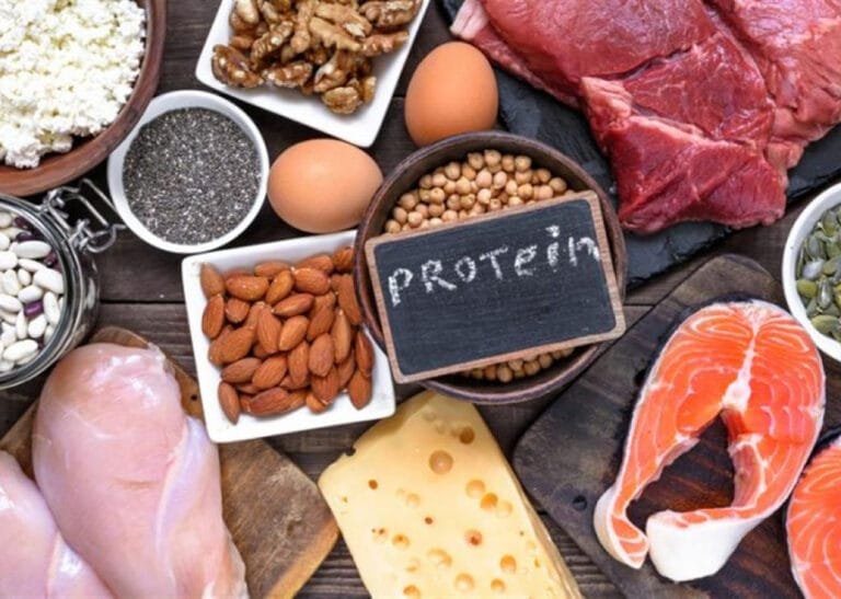 البروتين وصحة الجسم: دليلك لاختيار أفضل الأطعمة الغنية بالبروتين