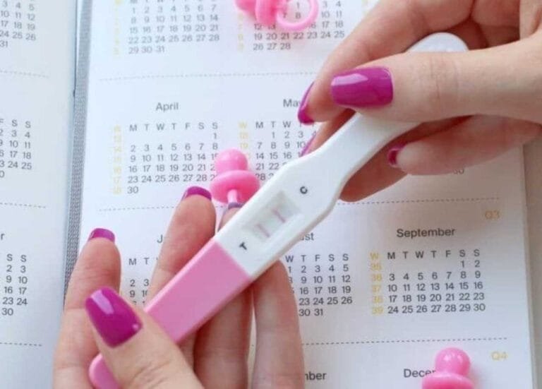 متى يحدث الحمل بعد الدورة بكم يوم