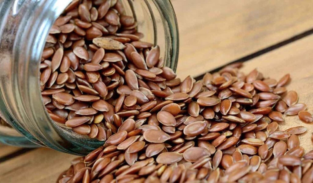 تجربتي مع بذرة الكتان للحمل وطريقة استخدامها